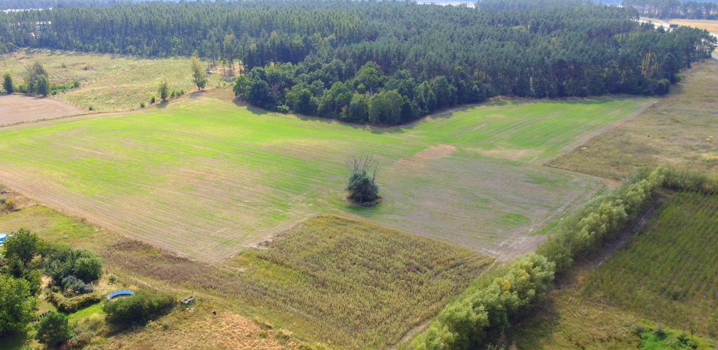 Działki, Warunku Zabudowy, Różne Powierzchnie