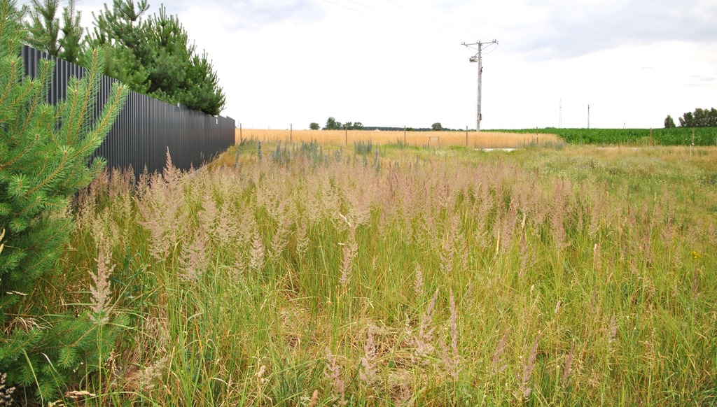 Działka Z Wz – łachowo