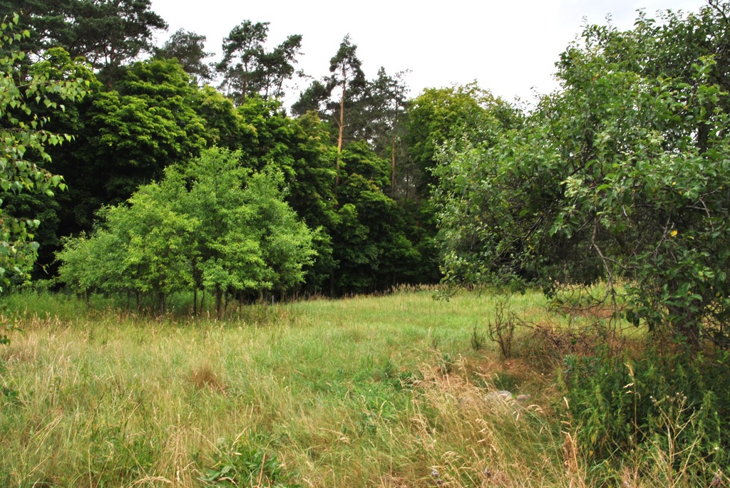 Działka Z Wz – łachowo – Gmina Szubin