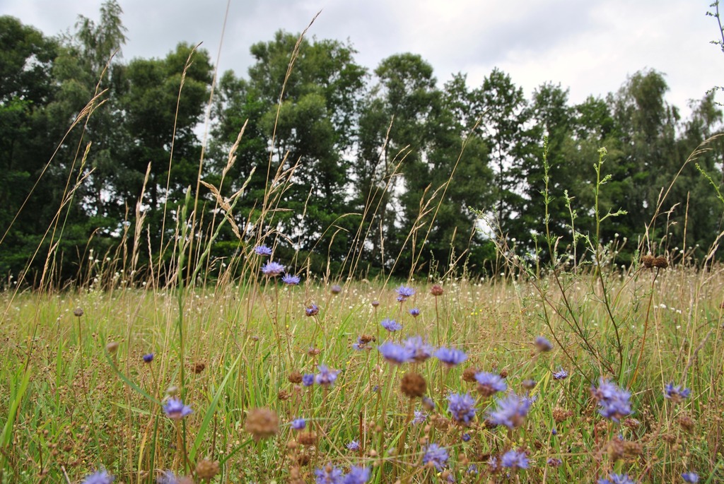 Działka Budowlana – Prądki, 1200 M², Cena 189 000
