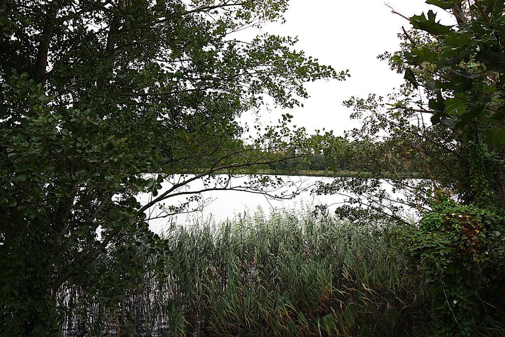 Dom W Lubczu Z Linią Brzegową Jeziora