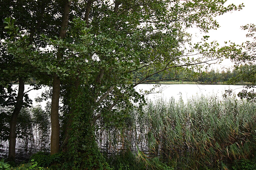 Dom W Lubczu Z Linią Brzegową Jeziora