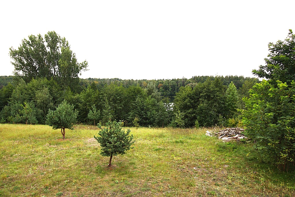 Dom W Lubczu Z Linią Brzegową Jeziora