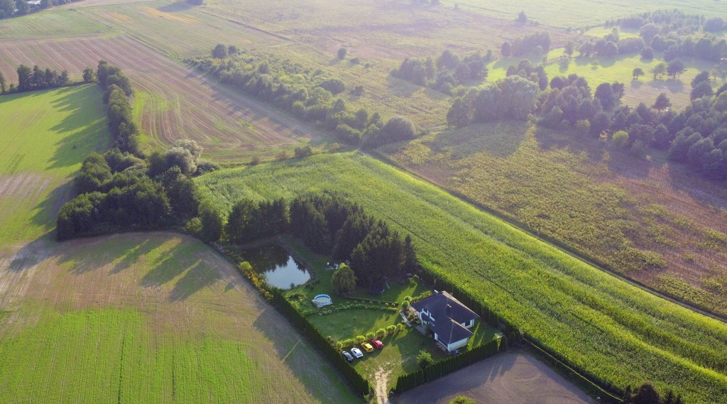 żołędowo, Dom, Garaż, Las, Staw I 5000 M2 Działki