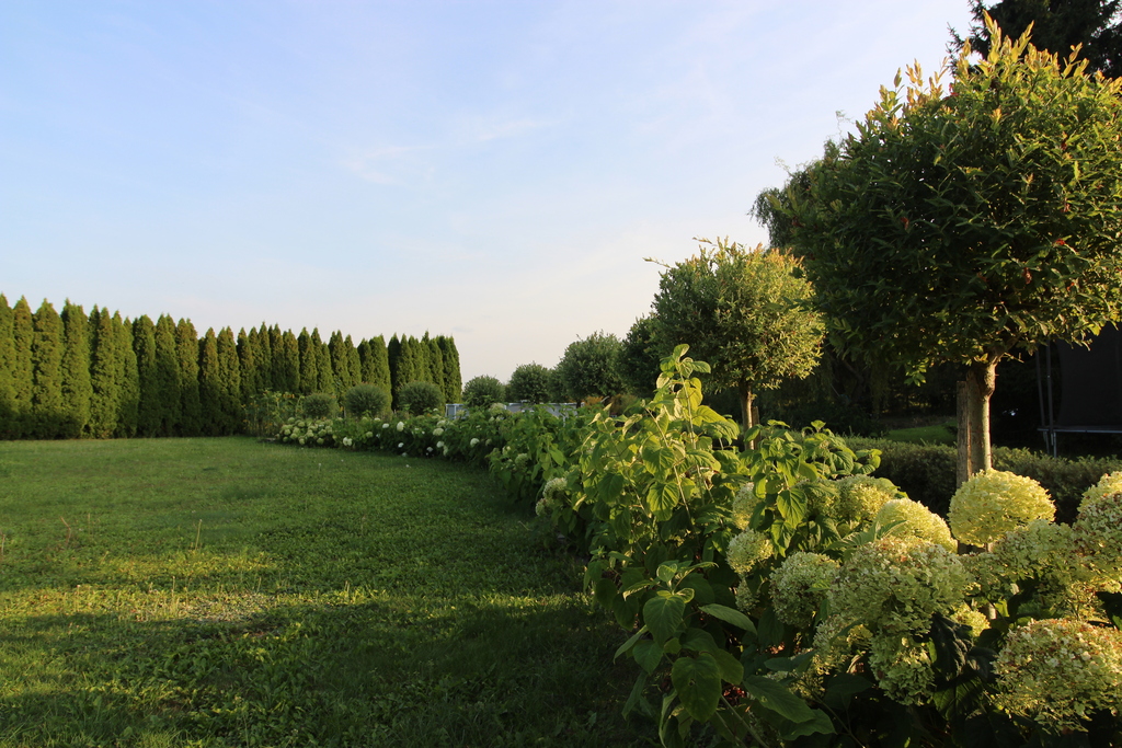 żołędowo, Dom, Garaż, Las, Staw I 5000 M2 Działki
