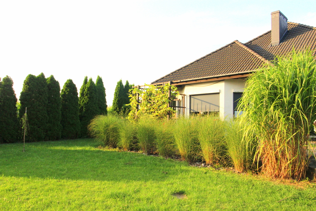 żołędowo, Dom, Garaż, Las, Staw I 5000 M2 Działki