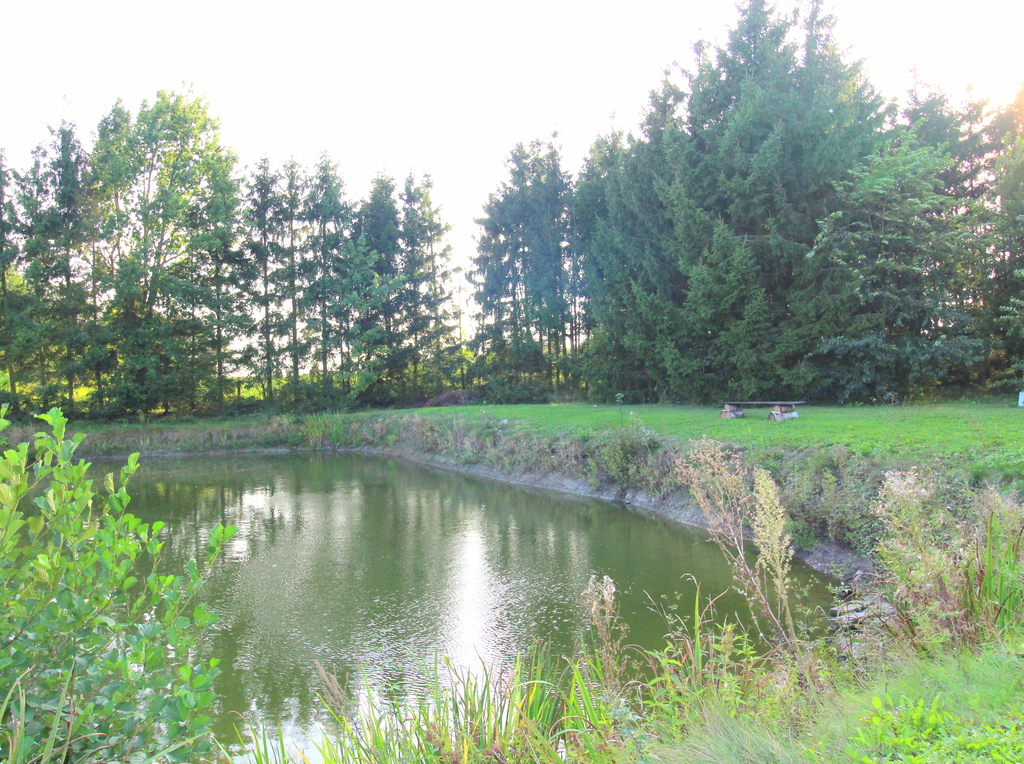 żołędowo, Dom, Garaż, Las, Staw I 5000 M2 Działki