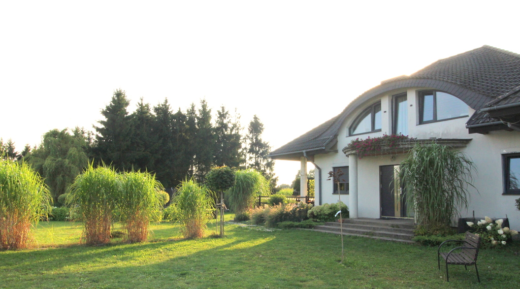 żołędowo, Dom, Garaż, Las, Staw I 5000 M2 Działki