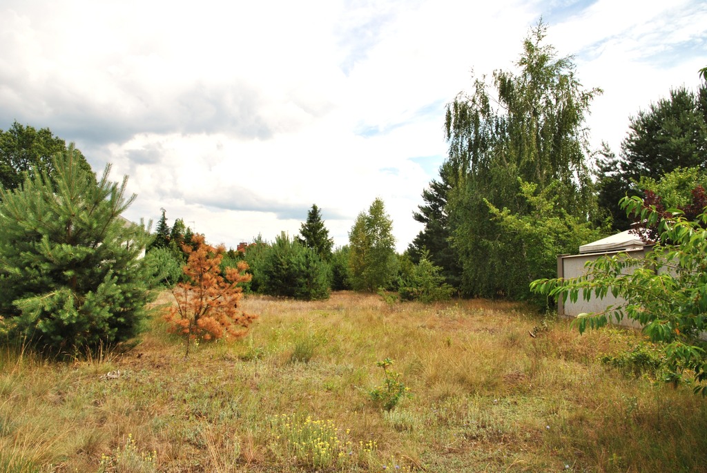 Działka Na Sprzedaż 1143 M2 – Ciele