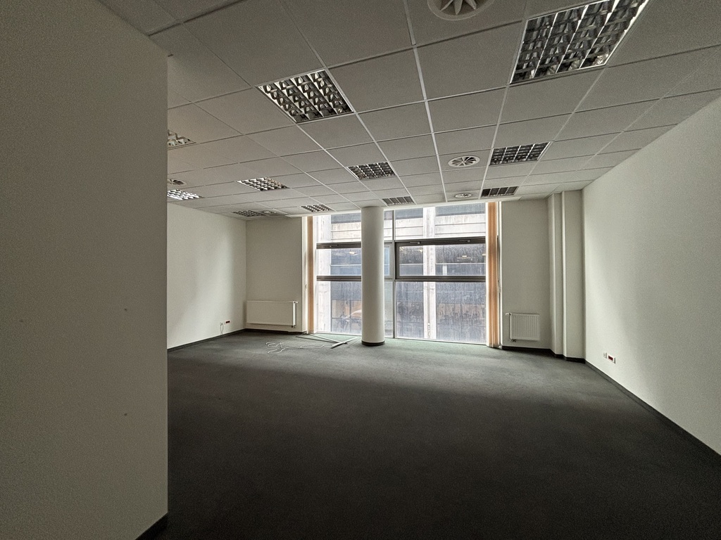 Przestronny Lokal 600m2 – Rynek Wrocław, Wynajem