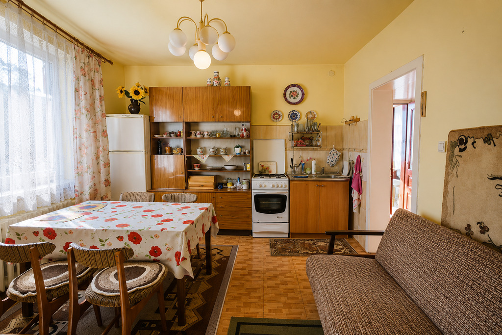 Dom Wolnostojący 250m2 Na 40a – Nowa Cena !