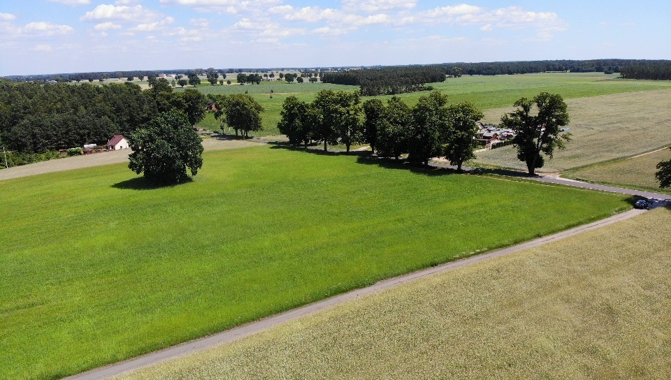 Działka O Powierzchni 1 514 M2 Z Wz.