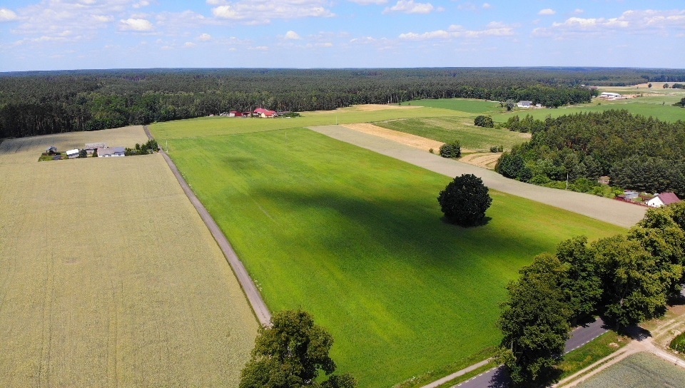 Działka O Powierzchni 1 514 M2 Z Wz.