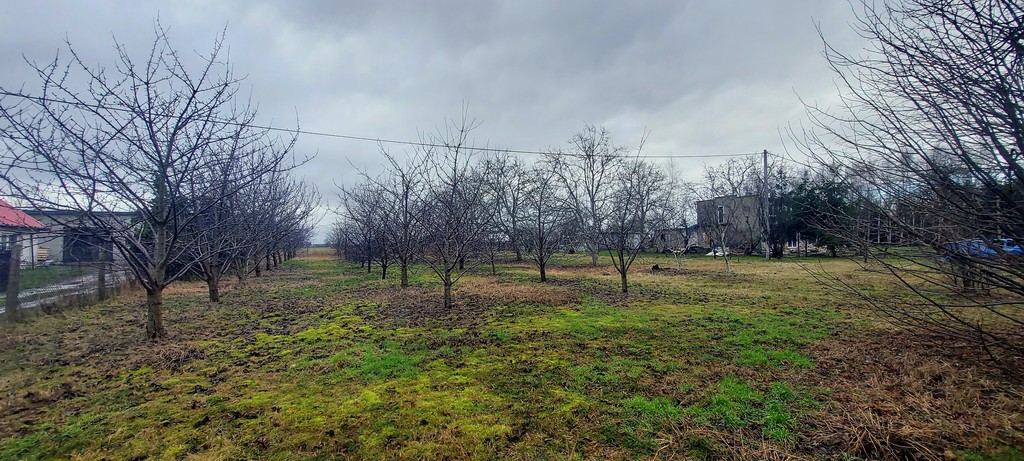 Działka Dubielewo – 2610m2 – 17km Od Włocławka