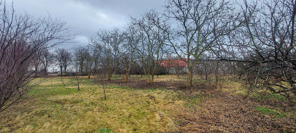 Działka Dubielewo – 2610m2 – 17km Od Włocławka