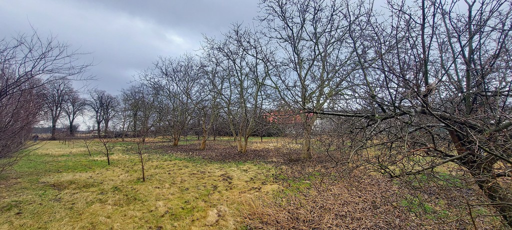Działka Dubielewo – 2610m2 – 17km Od Włocławka