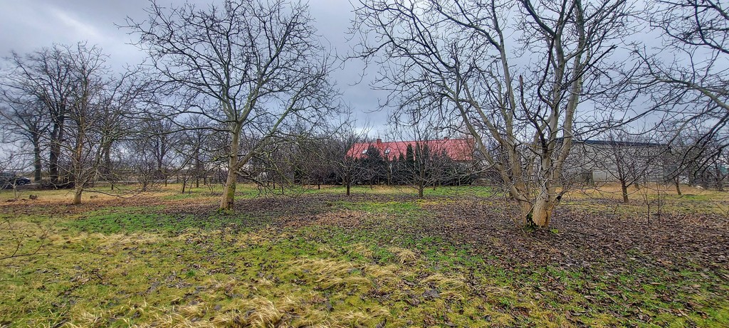 Działka Dubielewo – 2610m2 – 17km Od Włocławka
